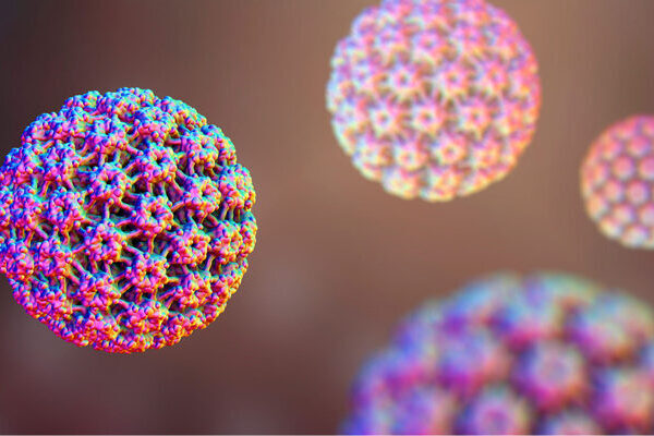 HPV-Infektionen im Genitalbereich